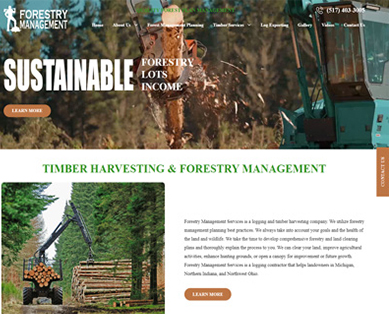 Web Design Portfolio Examples Ohio